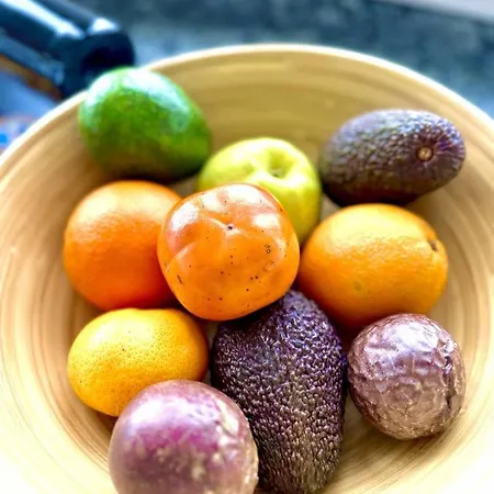 Apartamento Duplex Sea View By Holidays